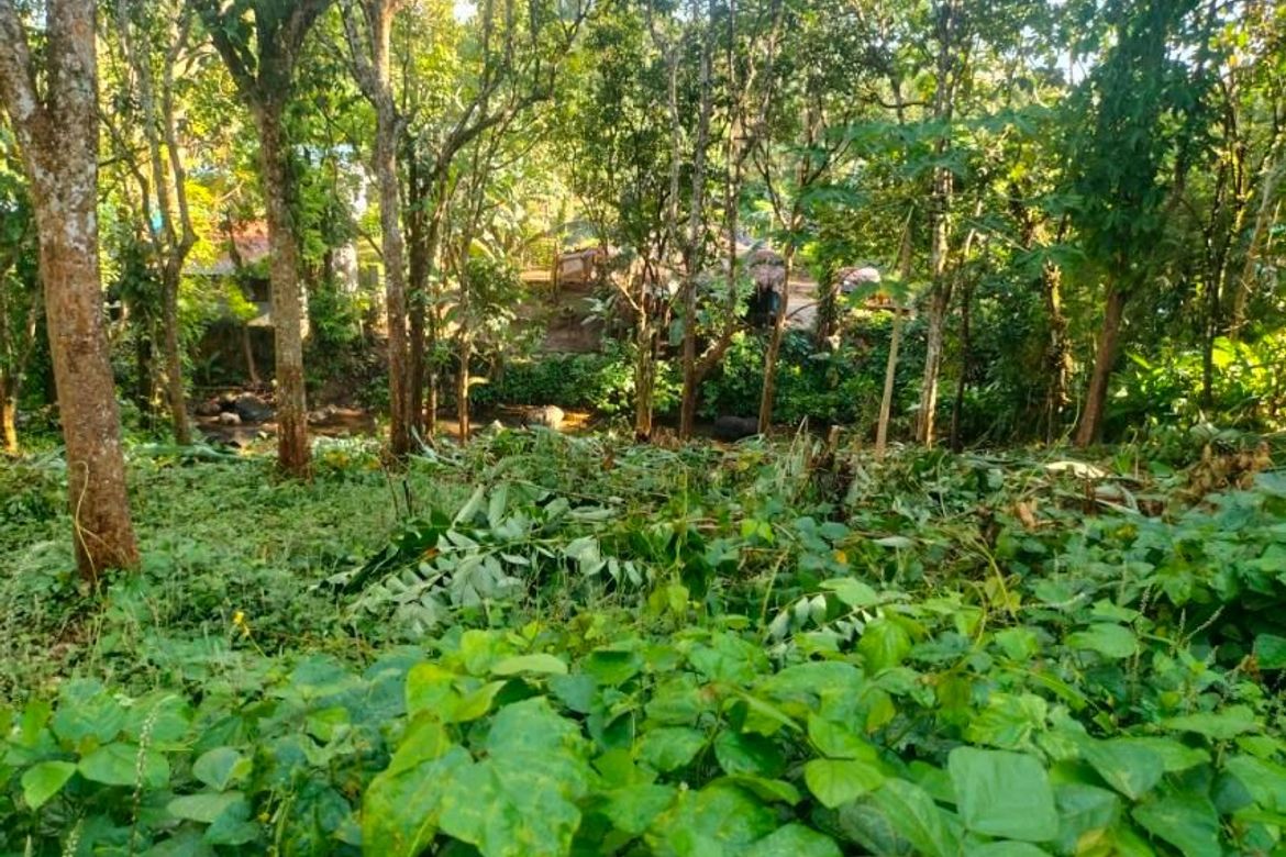 Land for Sale in Balayong, Nagcarlan, Laguna – photo 4
