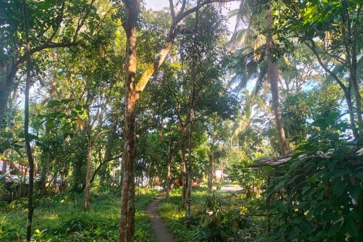 Land for Sale in Balayong, Nagcarlan, Laguna – photo 5