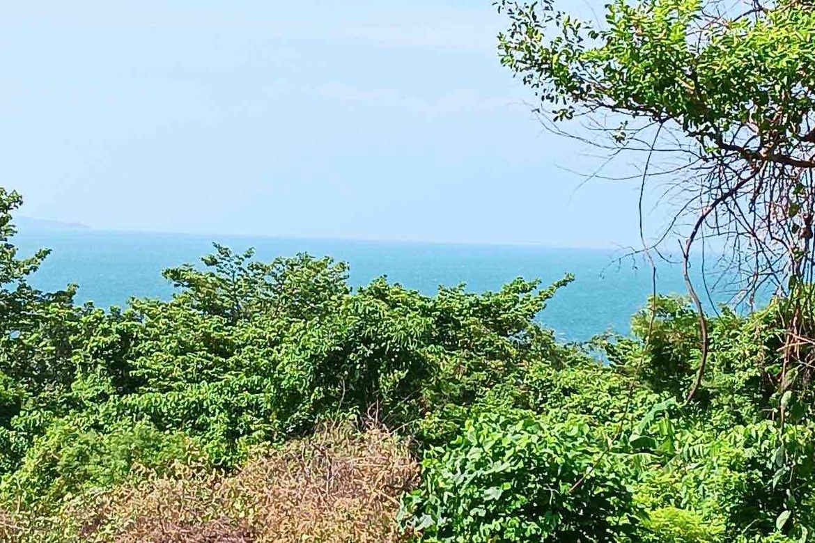 Land for Sale in Balaytigui, Nasugbu, Batangas
