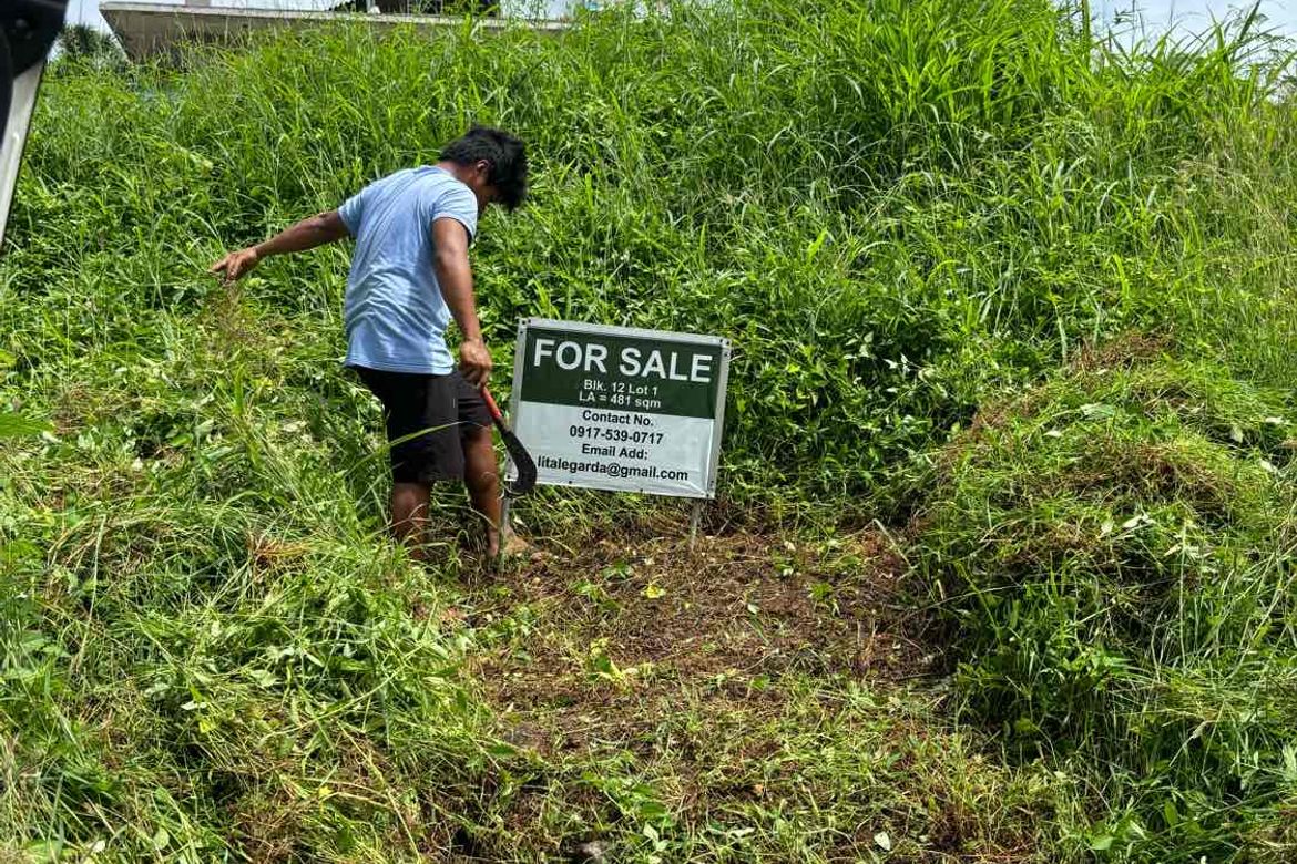 Land for Sale in Balaytigui, Nasugbu, Batangas – photo 3