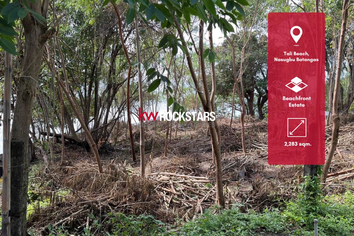 Land for Sale in Balaytigui, Nasugbu, Batangas
