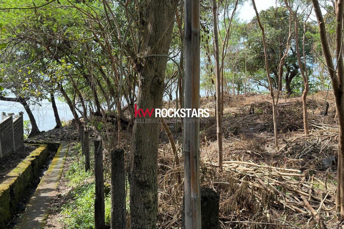 Land for Sale in Balaytigui, Nasugbu, Batangas – photo 4