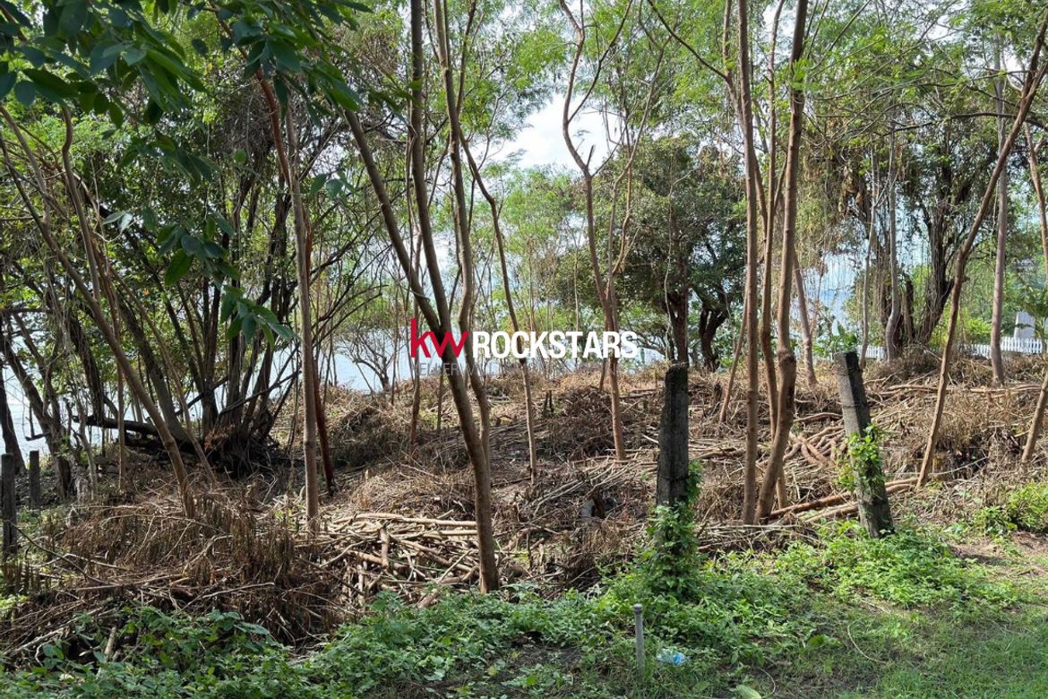 Land for Sale in Balaytigui, Nasugbu, Batangas – photo 5