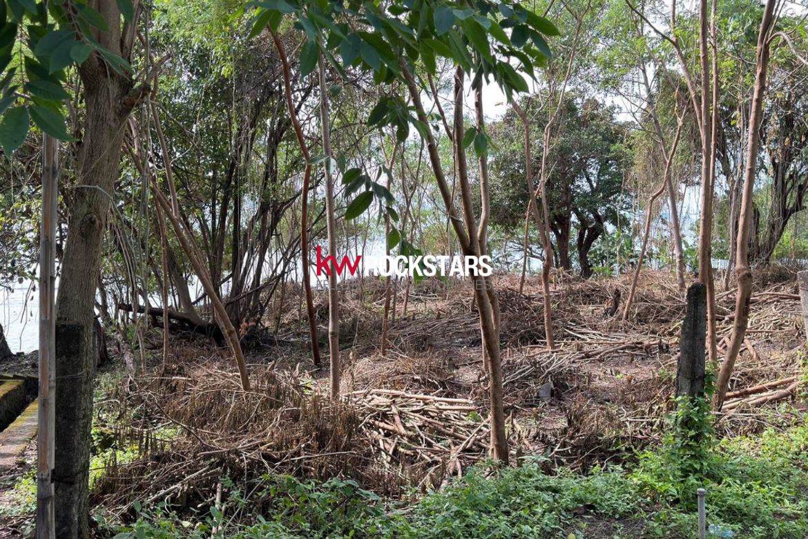 Land for Sale in Balaytigui, Nasugbu, Batangas – photo 6