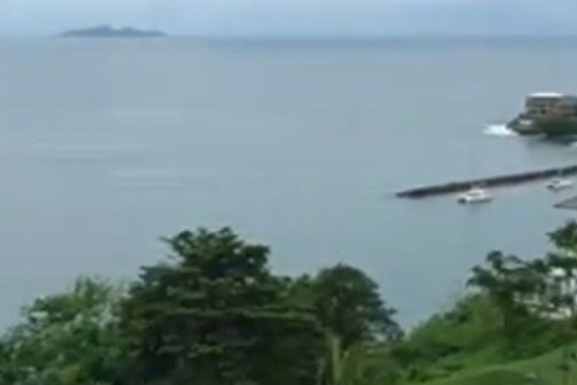 Land for Sale in Balaytigui, Nasugbu, Batangas – photo 2