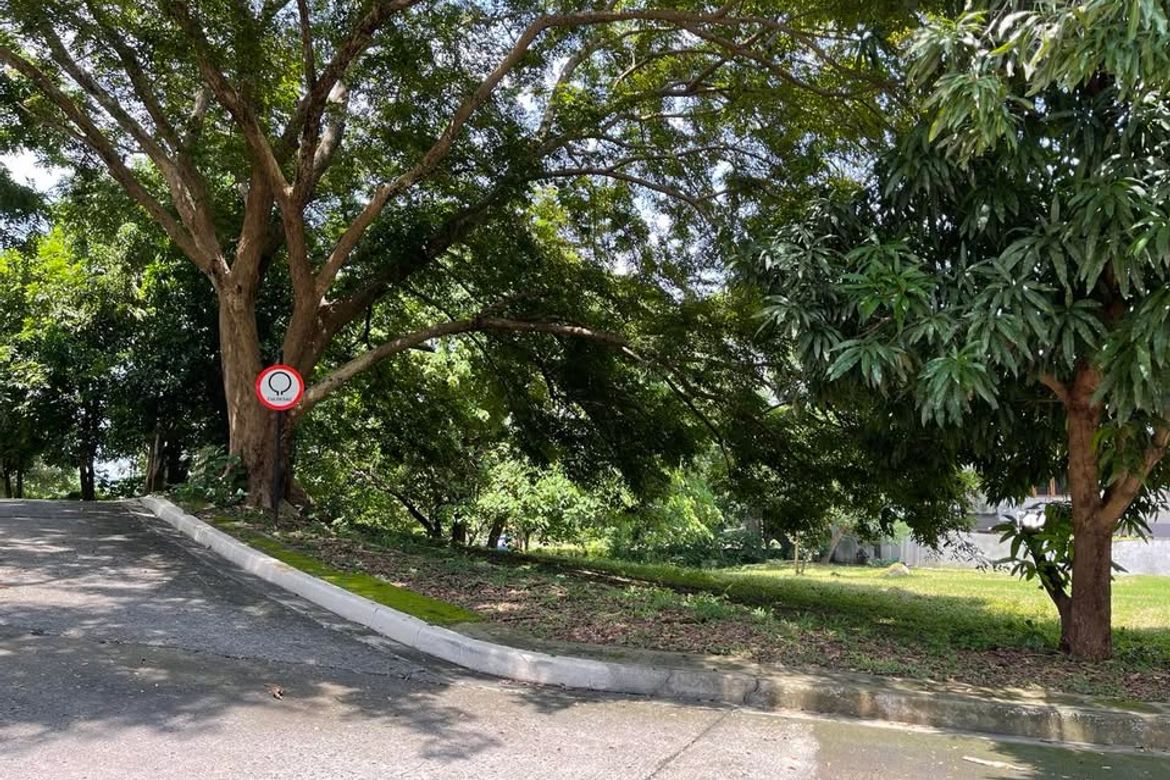 Land for Sale in Balaytigui, Nasugbu, Batangas – photo 2