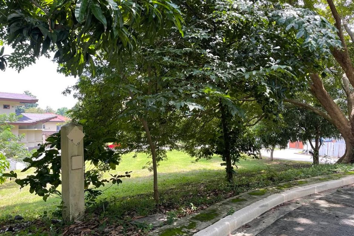 Land for Sale in Balaytigui, Nasugbu, Batangas – photo 6