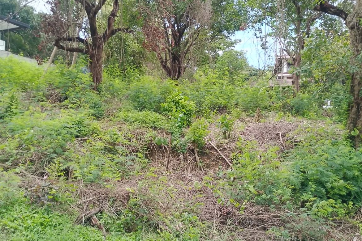Land for Sale in Balaytigui, Nasugbu, Batangas – photo 3