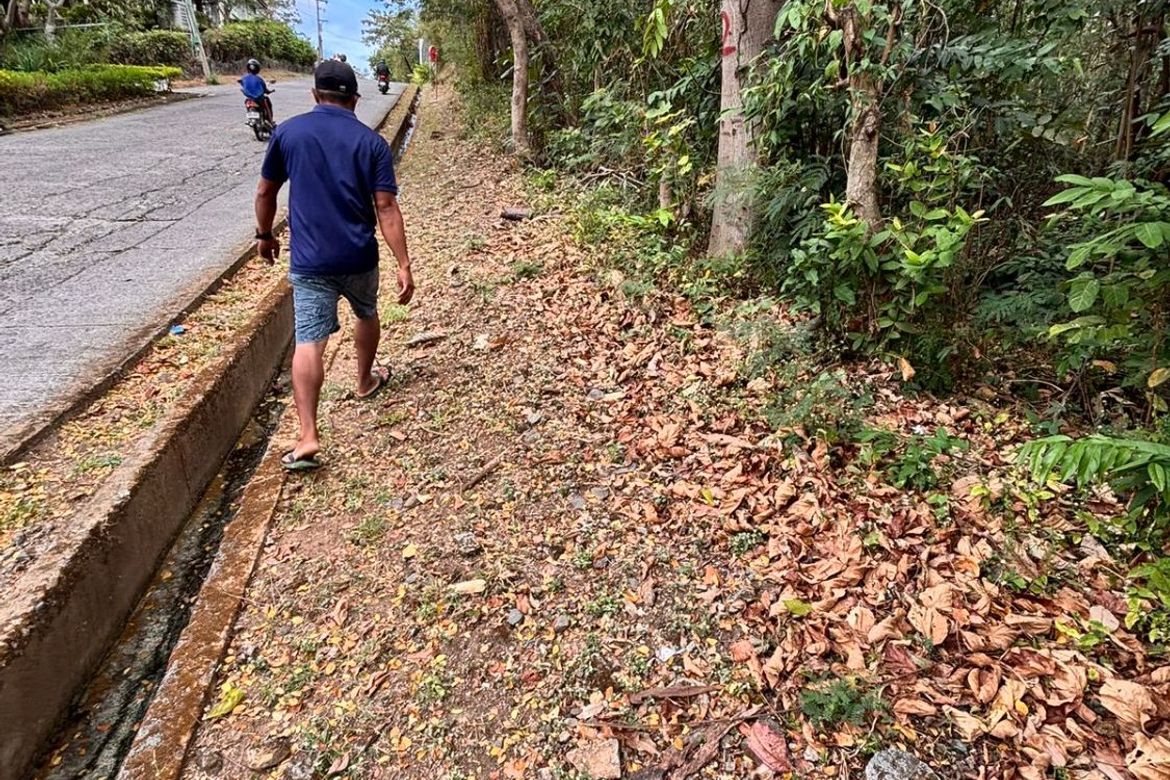 Land for Sale in Balaytigui, Nasugbu, Batangas