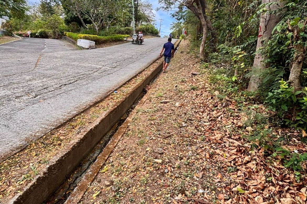 Land for Sale in Balaytigui, Nasugbu, Batangas – photo 2