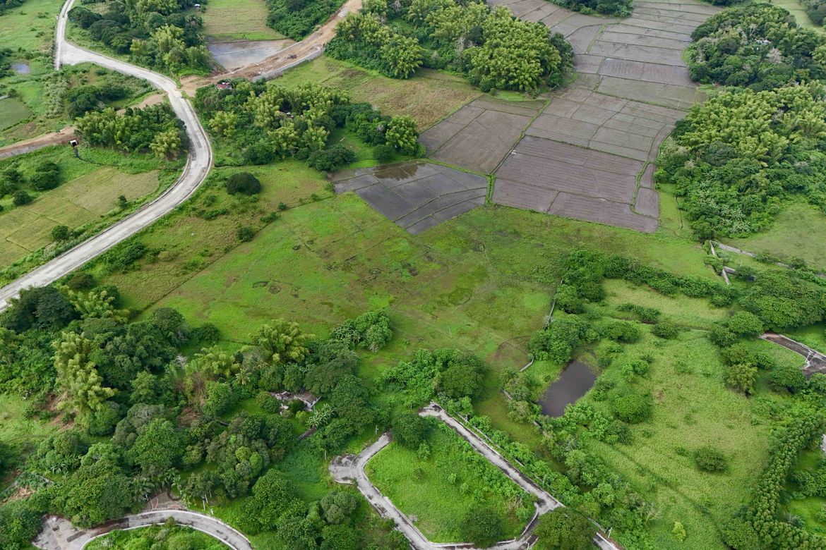 Land for Sale in Balibagan Oeste, Santa Barbara, Iloilo – photo 8