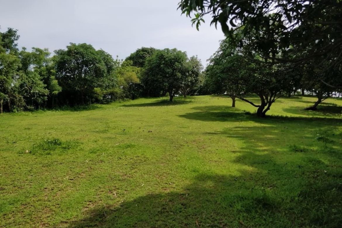Land for Sale in Balibago, Calatagan, Batangas – photo 3