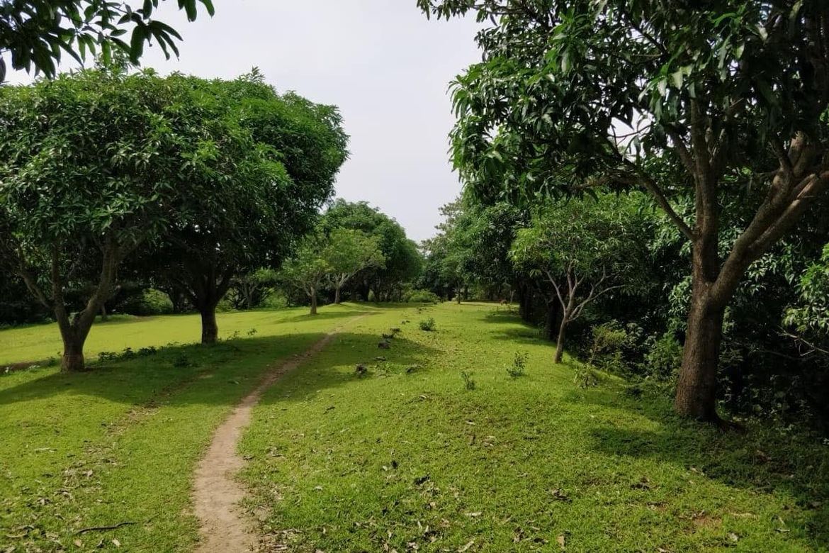 Land for Sale in Balibago, Calatagan, Batangas – photo 6