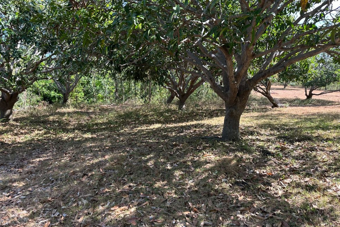 Land for Sale in Balibago, Calatagan, Batangas – photo 8