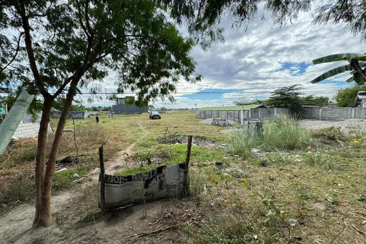 Land for Sale in Balibago I, Tarlac, Tarlac – photo 5