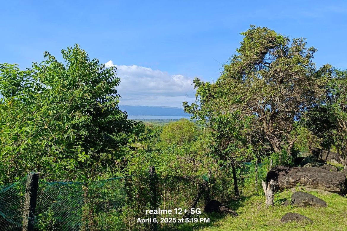 Land for Sale in Balili, Valencia, Negros Oriental