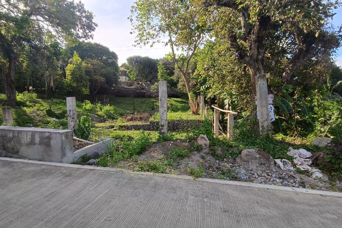 Land for Sale in Balili, Valencia, Negros Oriental – photo 2