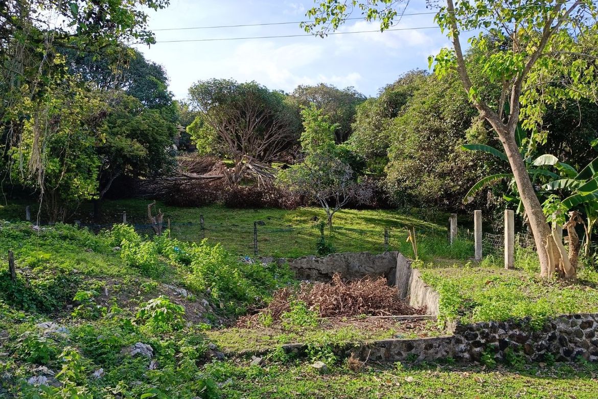 Land for Sale in Balili, Valencia, Negros Oriental – photo 3