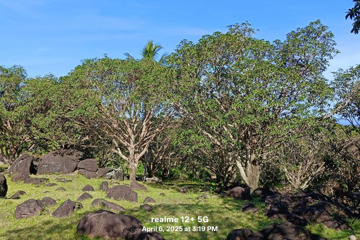 Land for Sale in Balili, Valencia, Negros Oriental – photo 5