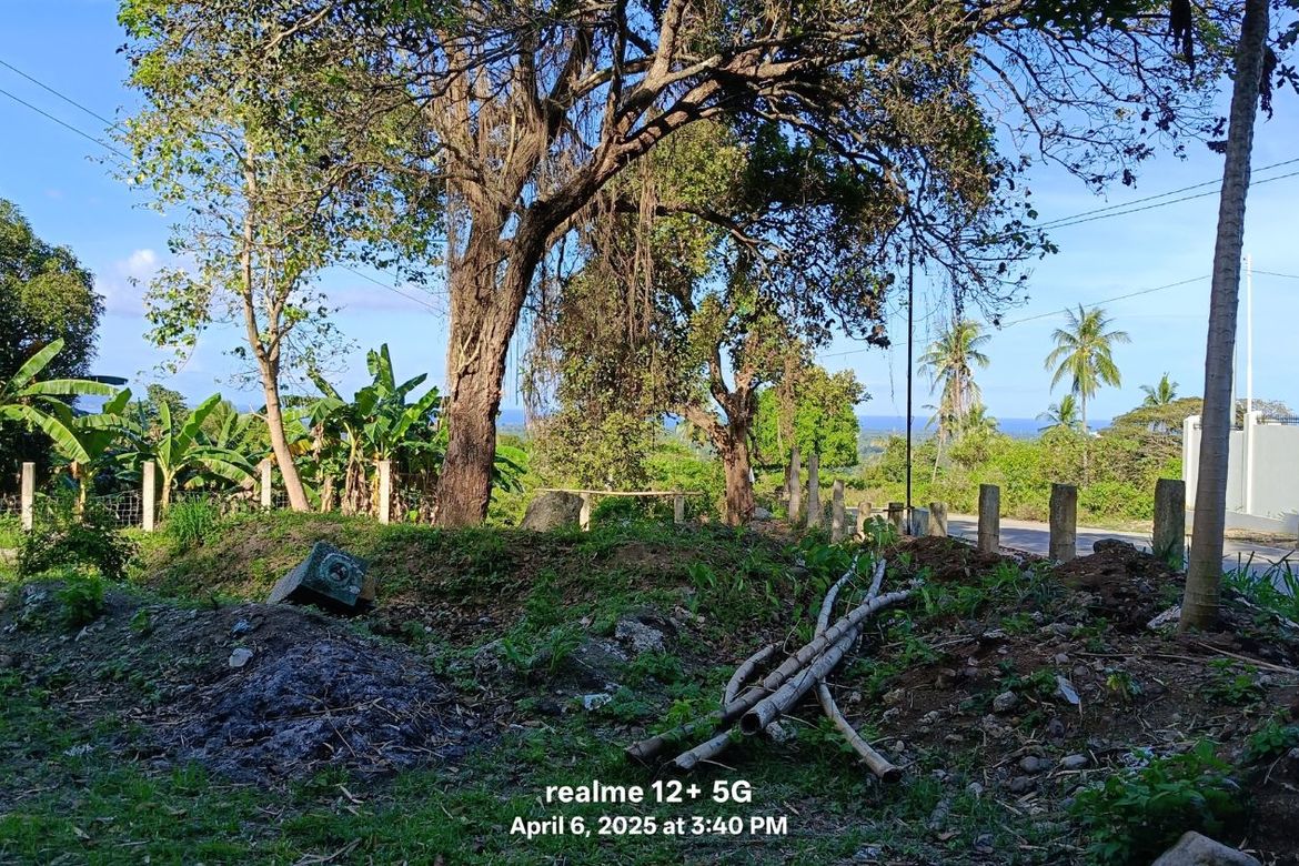 Land for Sale in Balili, Valencia, Negros Oriental – photo 7