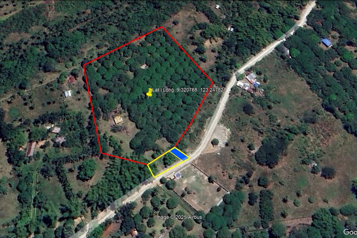 Land for Sale in Balili, Valencia, Negros Oriental – photo 8