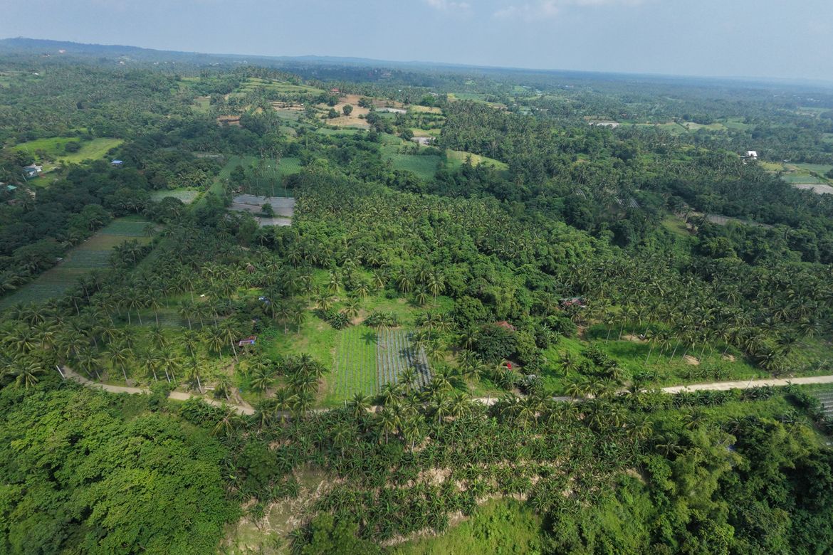 Land for Sale in Balimbing, Calaca, Batangas