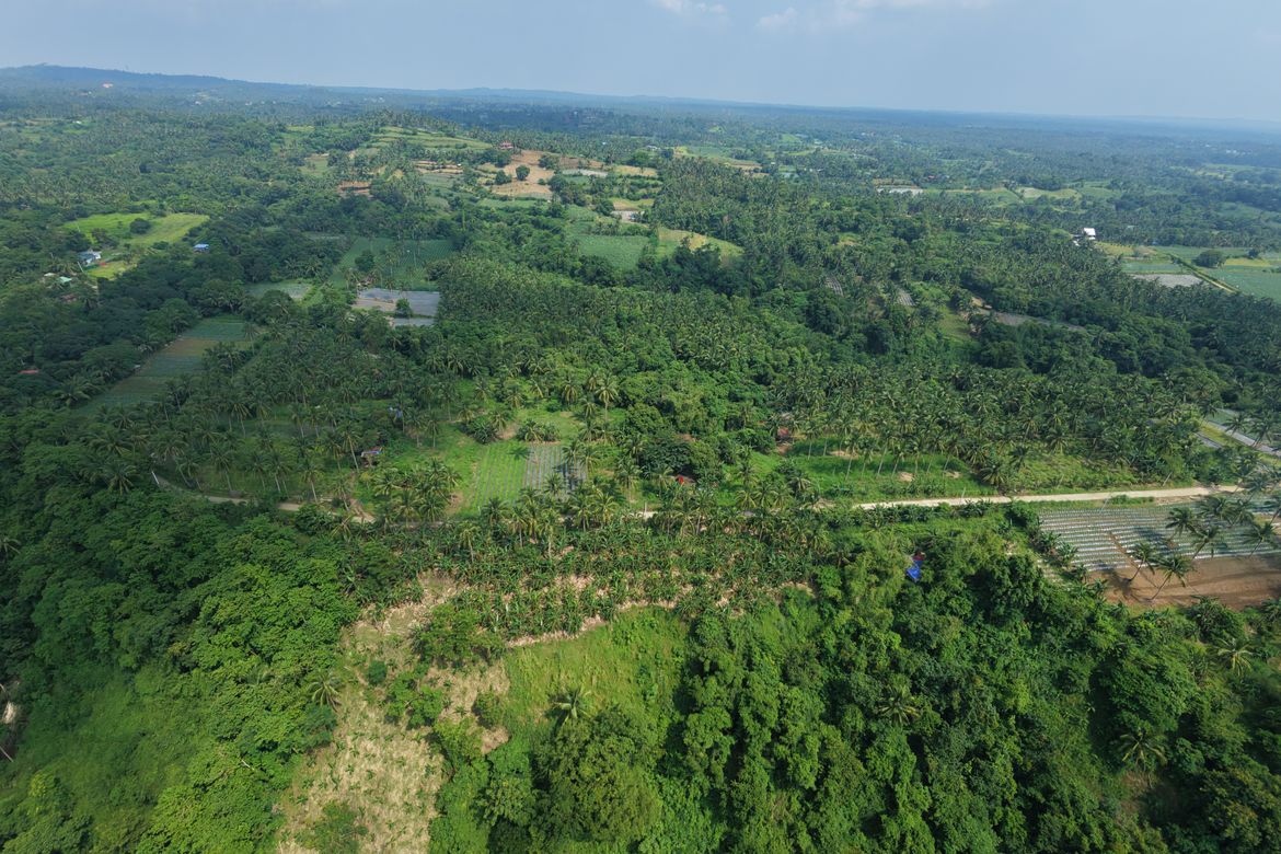 Land for Sale in Balimbing, Calaca, Batangas – photo 2