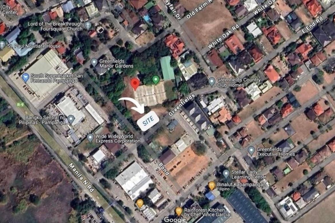 Land for Sale in Balingcanaway, Rosales, Pangasinan – photo 2