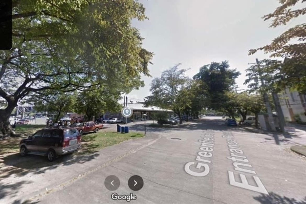 Land for Sale in Balingcanaway, Rosales, Pangasinan – photo 4