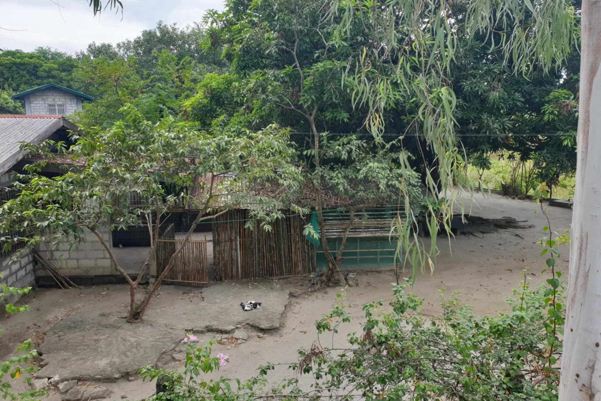 Land for Sale in Balingcanaway, Tarlac, Tarlac – photo 3