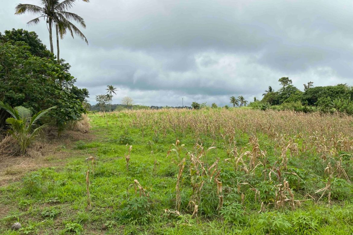 Land for Sale in Balite I, Silang, Cavite – photo 2