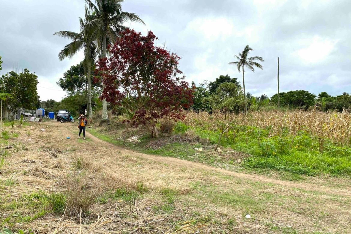 Land for Sale in Balite I, Silang, Cavite – photo 3