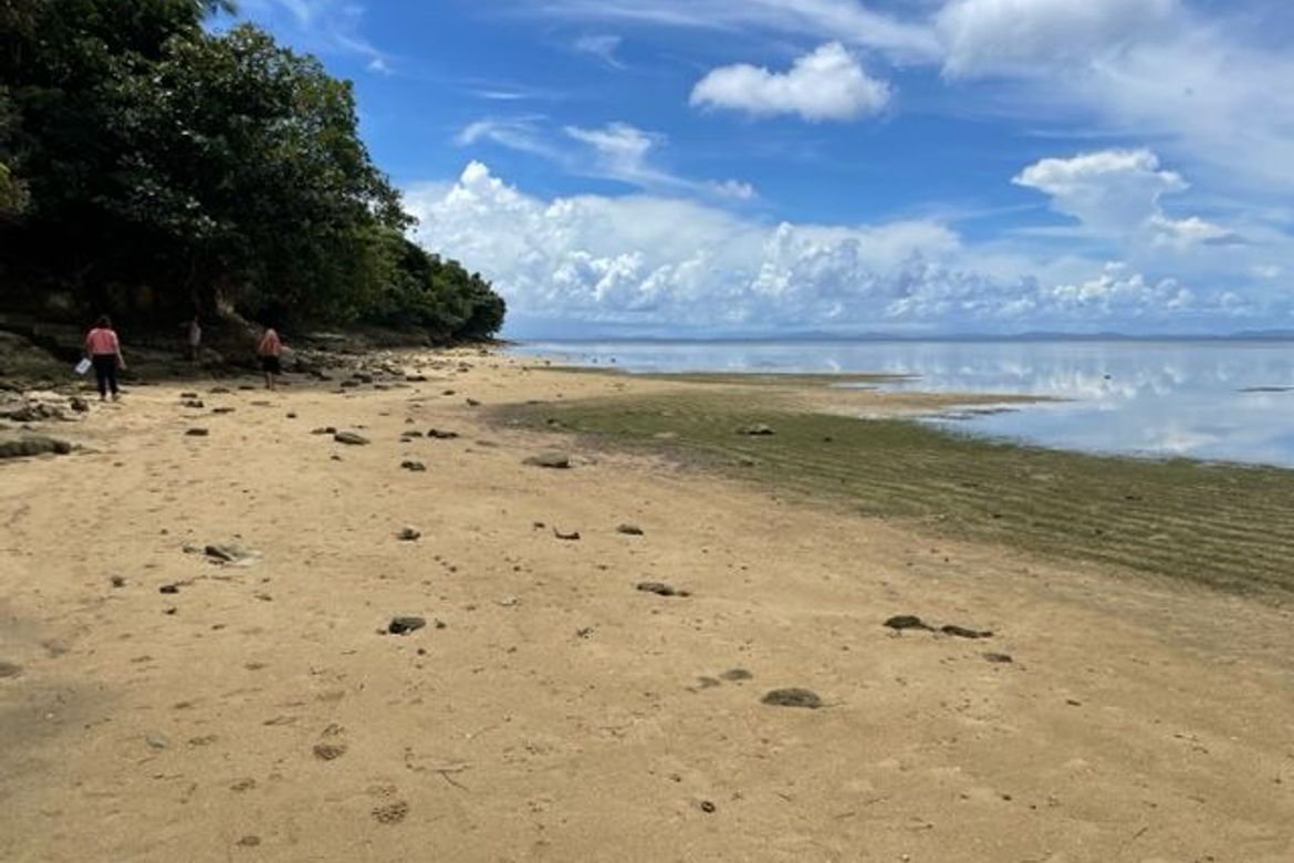 Land for Sale in Balite, Virac, Catanduanes – photo 3