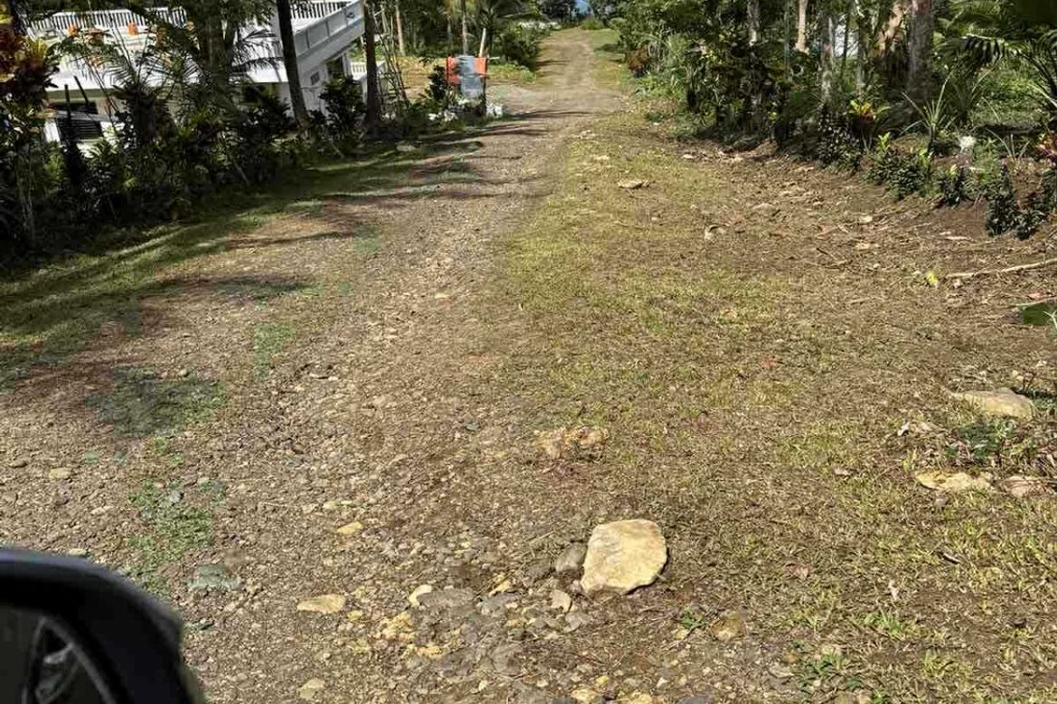 Land for Sale in Balite, Virac, Catanduanes – photo 6