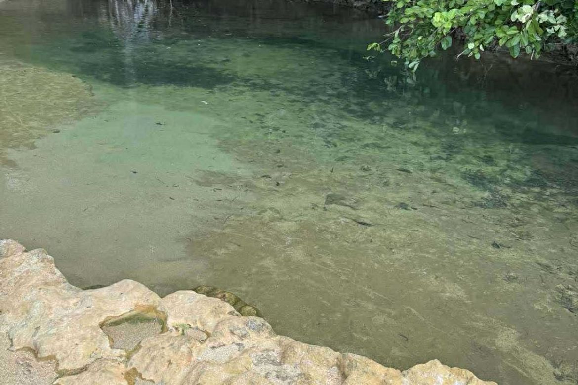 Land for Sale in Balite, Virac, Catanduanes – photo 7