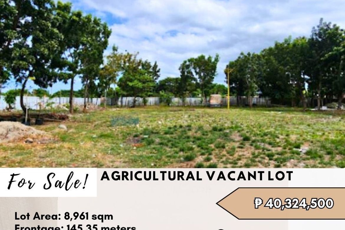 Land for Sale in Baliti, San Fernando, Pampanga