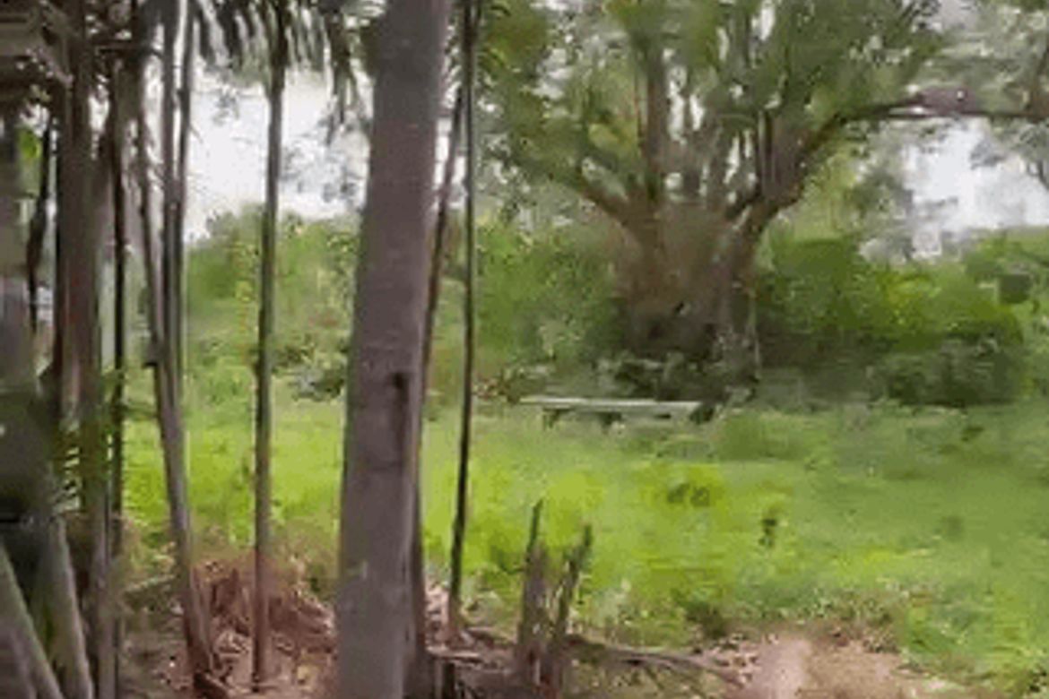 Land for Sale in Balitoc, Calatagan, Batangas – photo 2