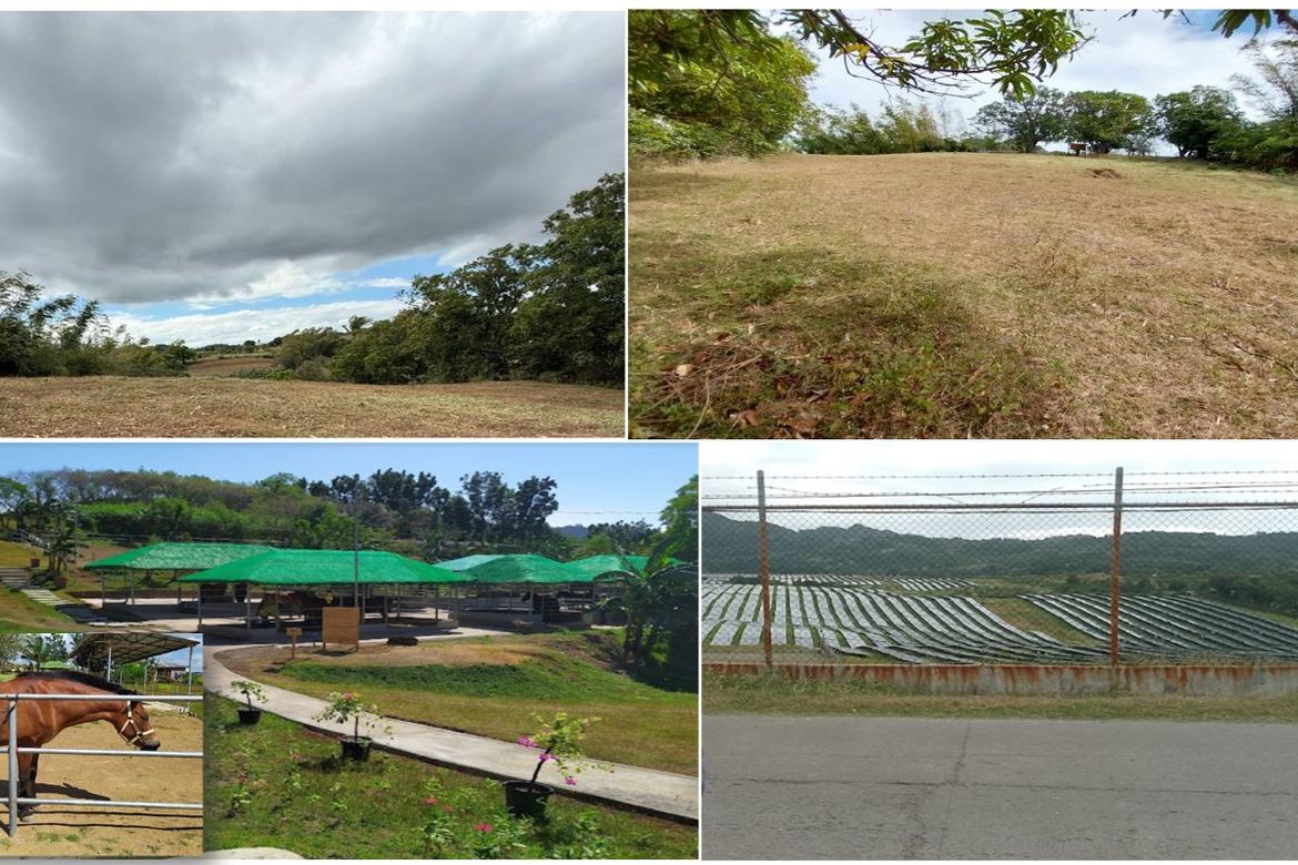 Land for Sale in Balitoc, Calatagan, Batangas