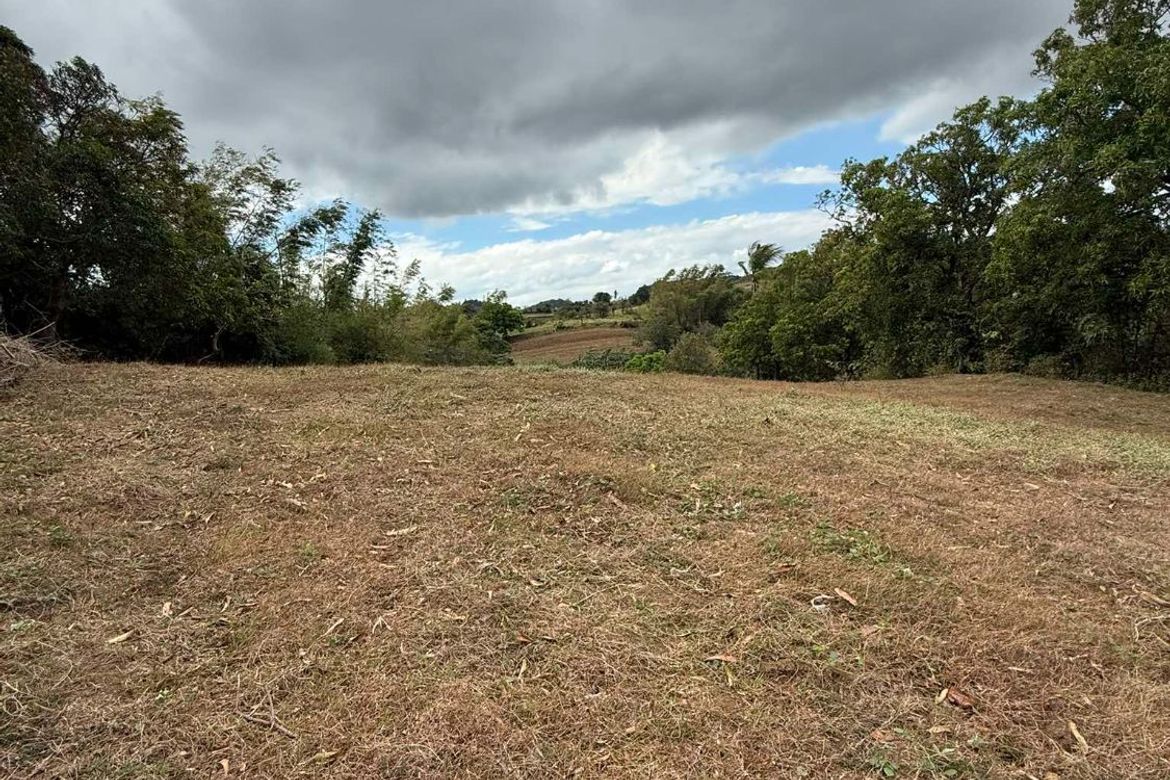 Land for Sale in Balitoc, Calatagan, Batangas – photo 3