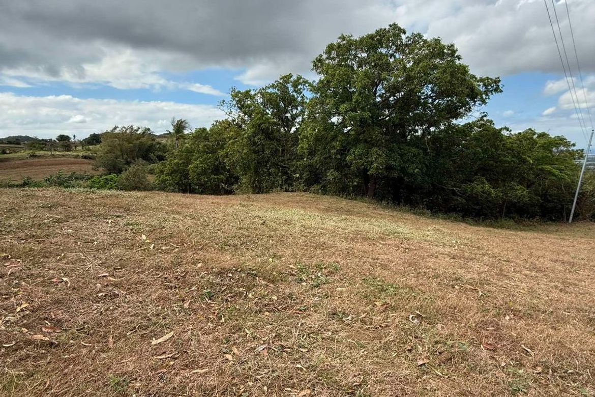 Land for Sale in Balitoc, Calatagan, Batangas – photo 4