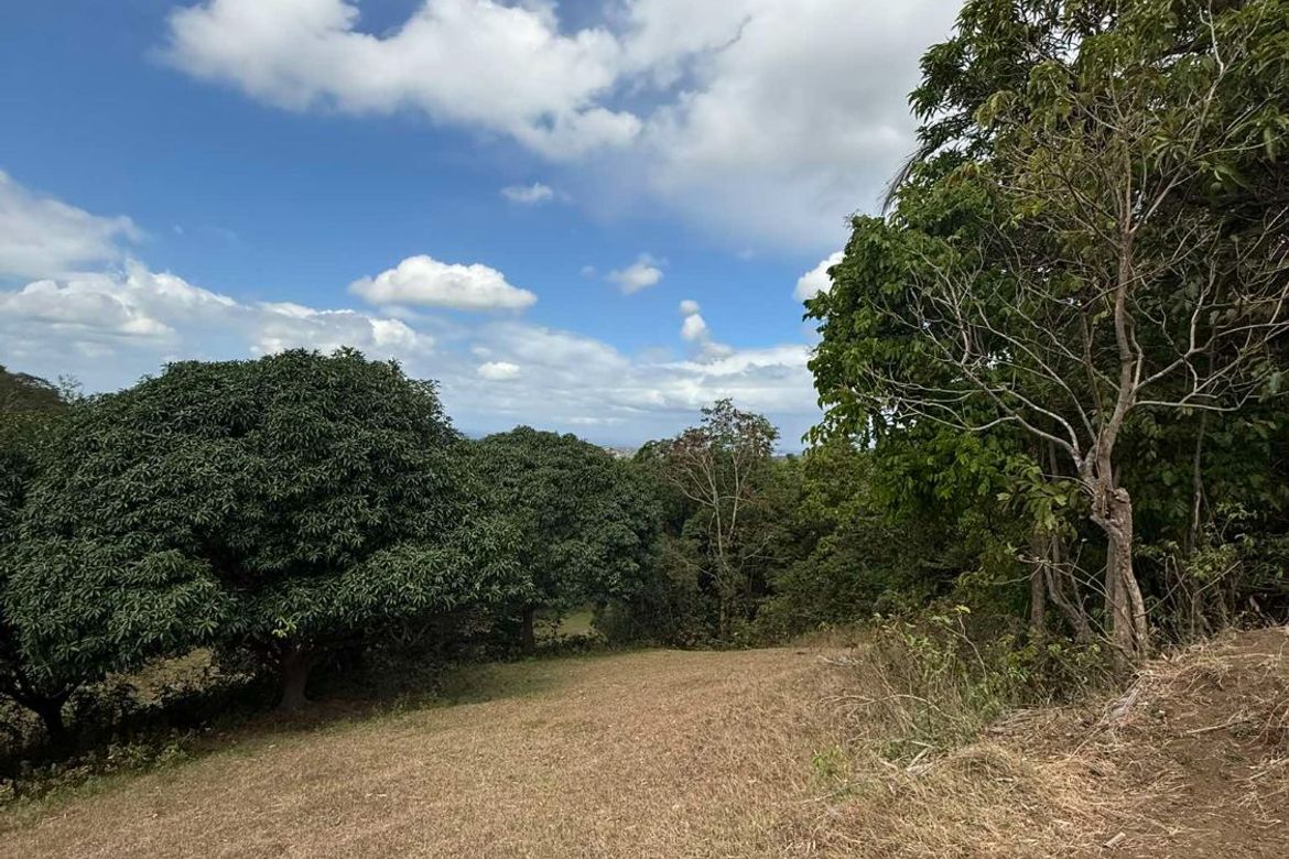 Land for Sale in Balitoc, Calatagan, Batangas – photo 5