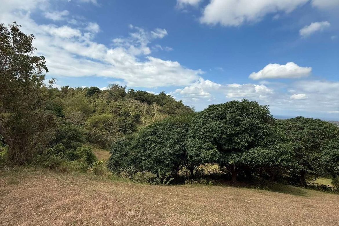 Land for Sale in Balitoc, Calatagan, Batangas – photo 6