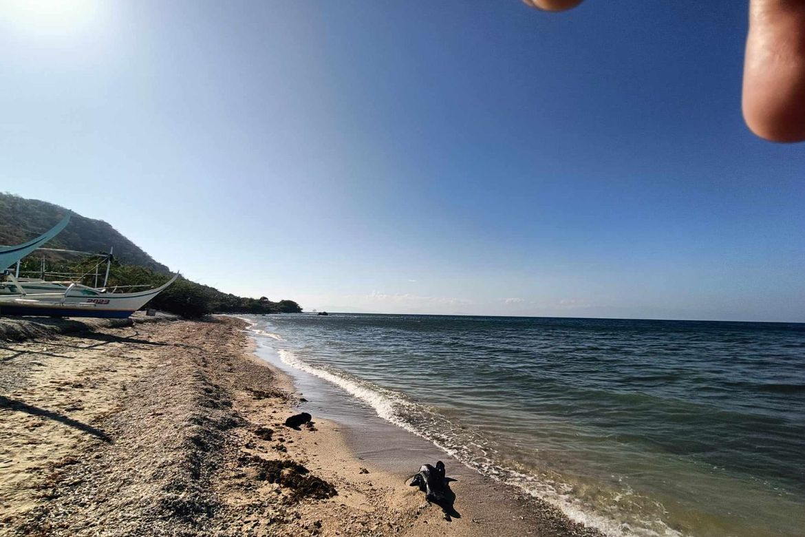 Land for Sale in Balitoc, Calatagan, Batangas – photo 2