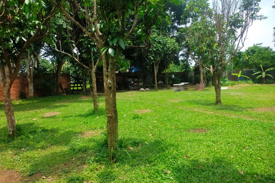 Land for Sale in Balubad, Lumban, Laguna – photo 4