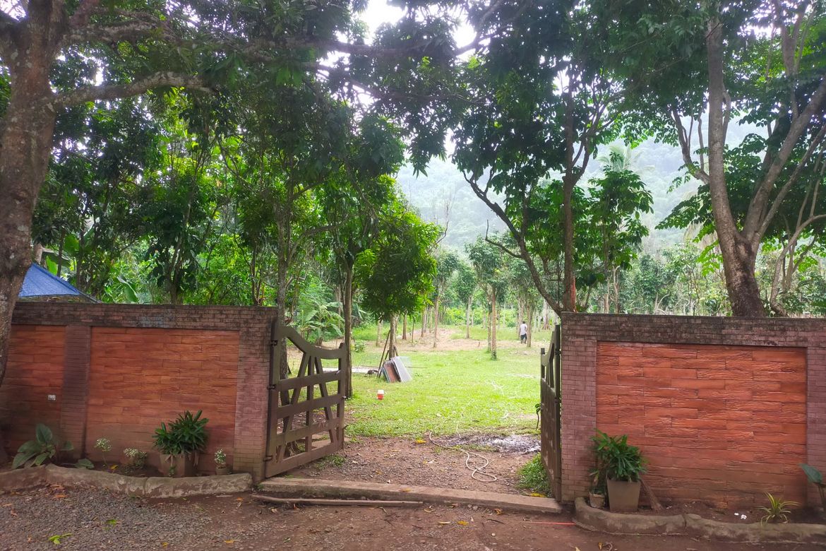 Land for Sale in Balubad, Lumban, Laguna – photo 7
