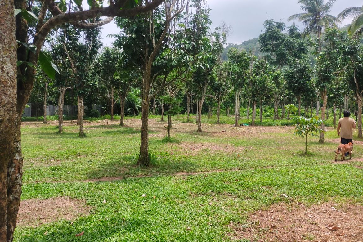 Land for Sale in Balubad, Lumban, Laguna – photo 8