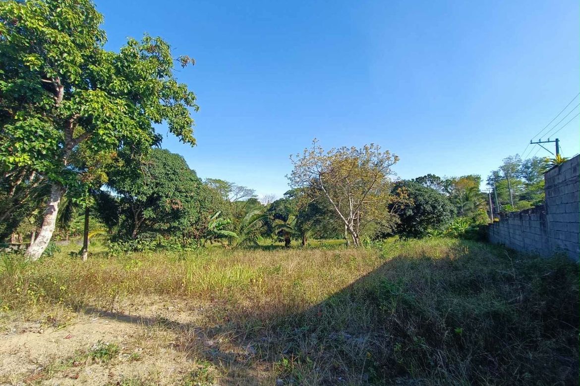Land for Sale in Balubad, Silang, Cavite – photo 4