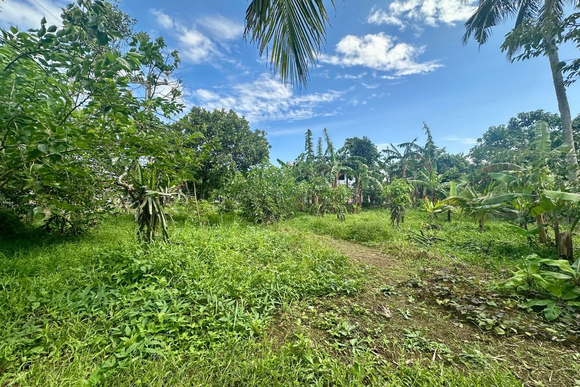 Land for Sale in Balubad, Silang, Cavite