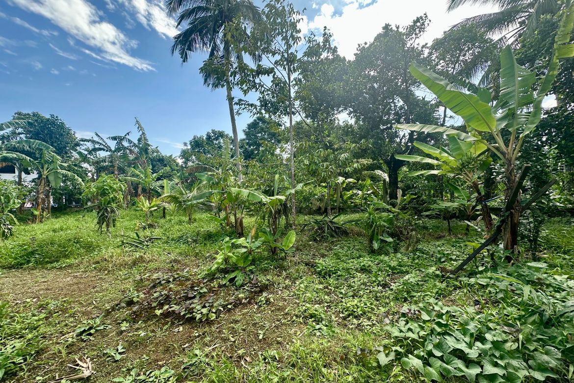 Land for Sale in Balubad, Silang, Cavite – photo 2