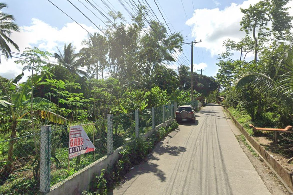 Land for Sale in Balubad, Silang, Cavite – photo 6